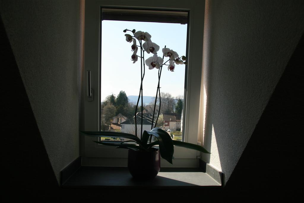 Hotel Eremitage Arlesheim Εξωτερικό φωτογραφία